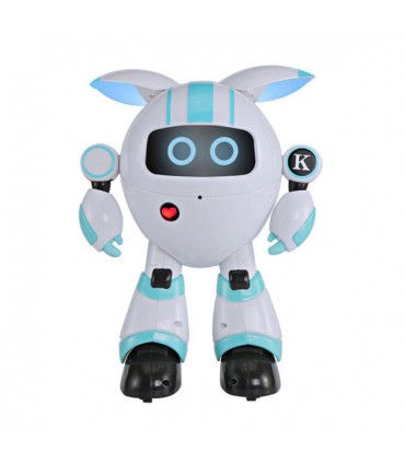 ربات کنترلی بسیارزیبای KAQI