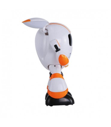 ربات کنترلی بسیارزیبای KAQI