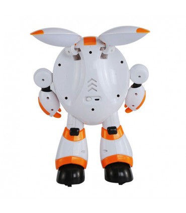 ربات کنترلی بسیارزیبای KAQI