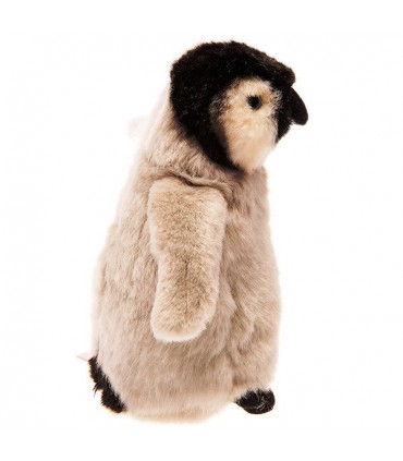 پنگوئن امپراطور (Aptenodytes forster)