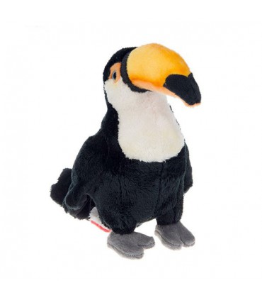 توکان (Ramphastos toco)