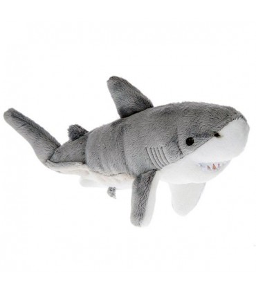 کوسه ماهی سفید