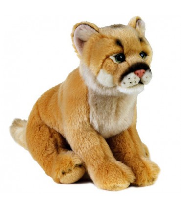 شیر کوهی (Puma Concolor)