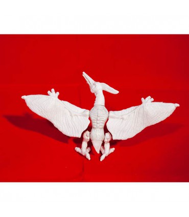 رنگ آمیزی دایناسورها کد 5