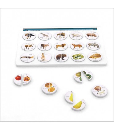 باری آموزشی هوش 2 تکه