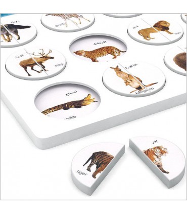 باری آموزشی هوش 2 تکه