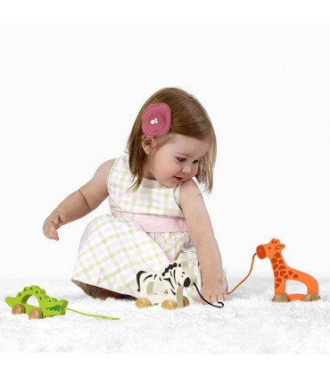 ماشین چوبی حیوانات