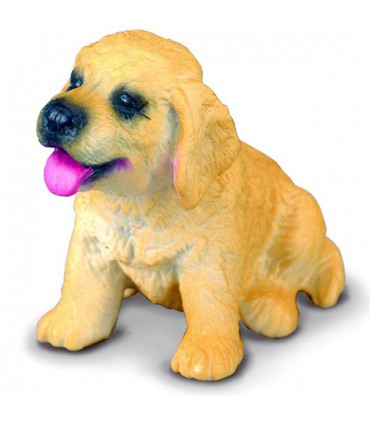 جاسوئیچی سگ گولدن رتریور