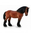 اسب نر آردنز - کهر