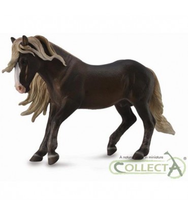 اسب نر جنگل سیاه