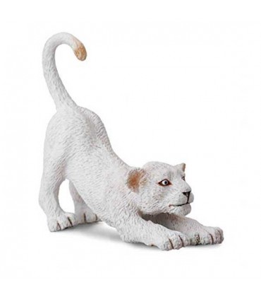 بچه شیر سفید