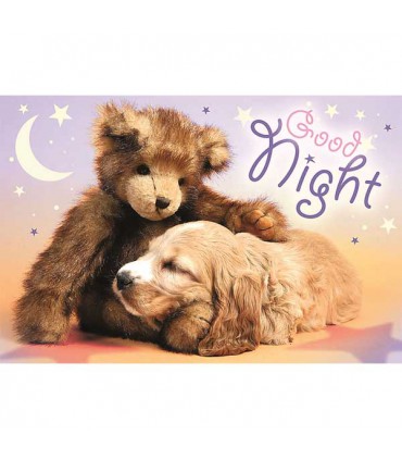 پازل 60 تکه ترفل مدل GOOD NIGHT