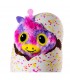 Hatchimals - مدل سورپرایز