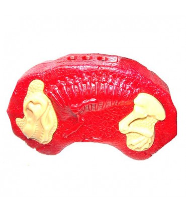 دایناسور کنترلی بخار دار