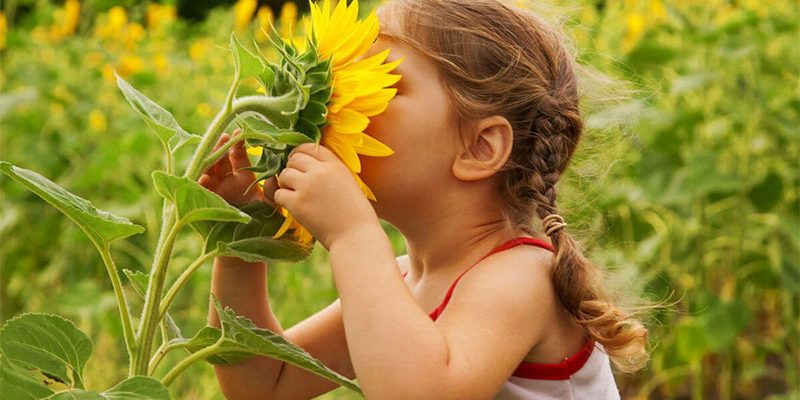 naturalistic-intelligence-1 هوش طبیعت گرا